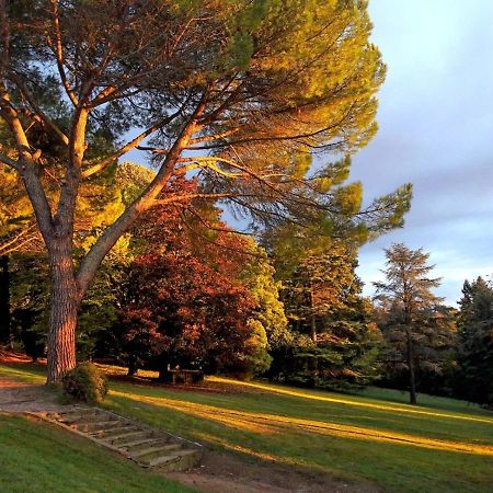 Domaine De Gailhaguet B&B Verfeil  외부 사진